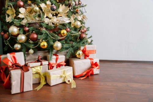 Christmas Waste Solutions