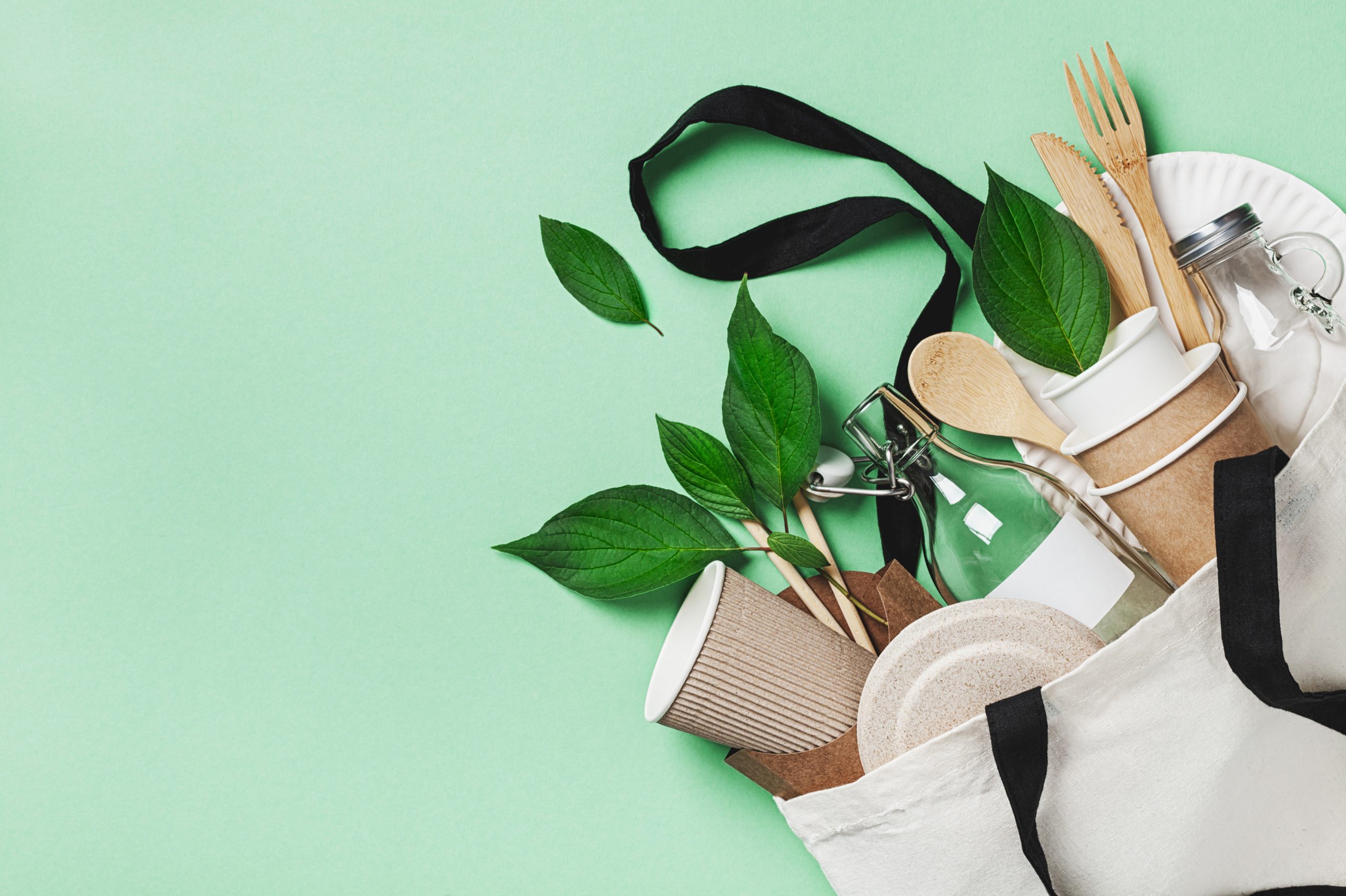 zero waste