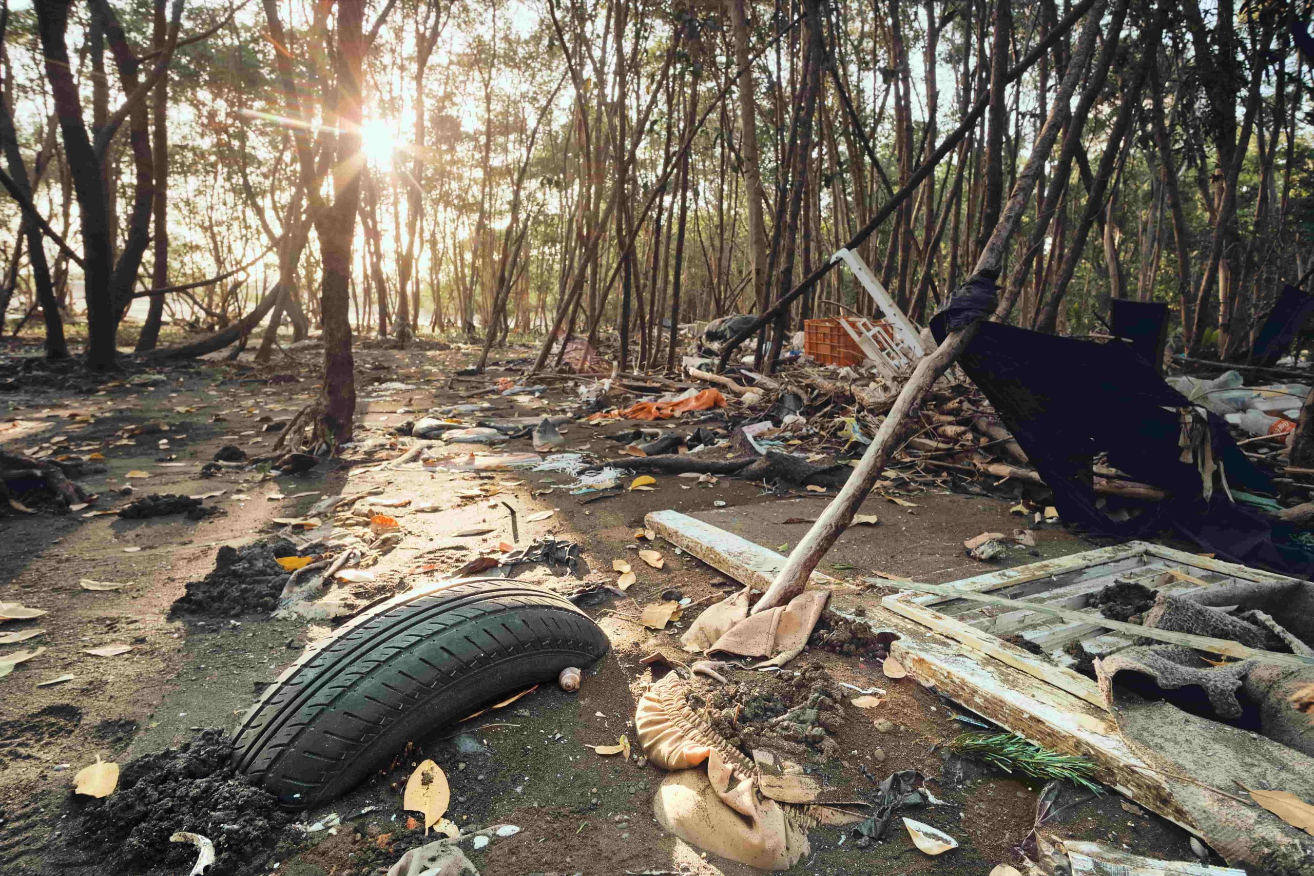 management of wastes