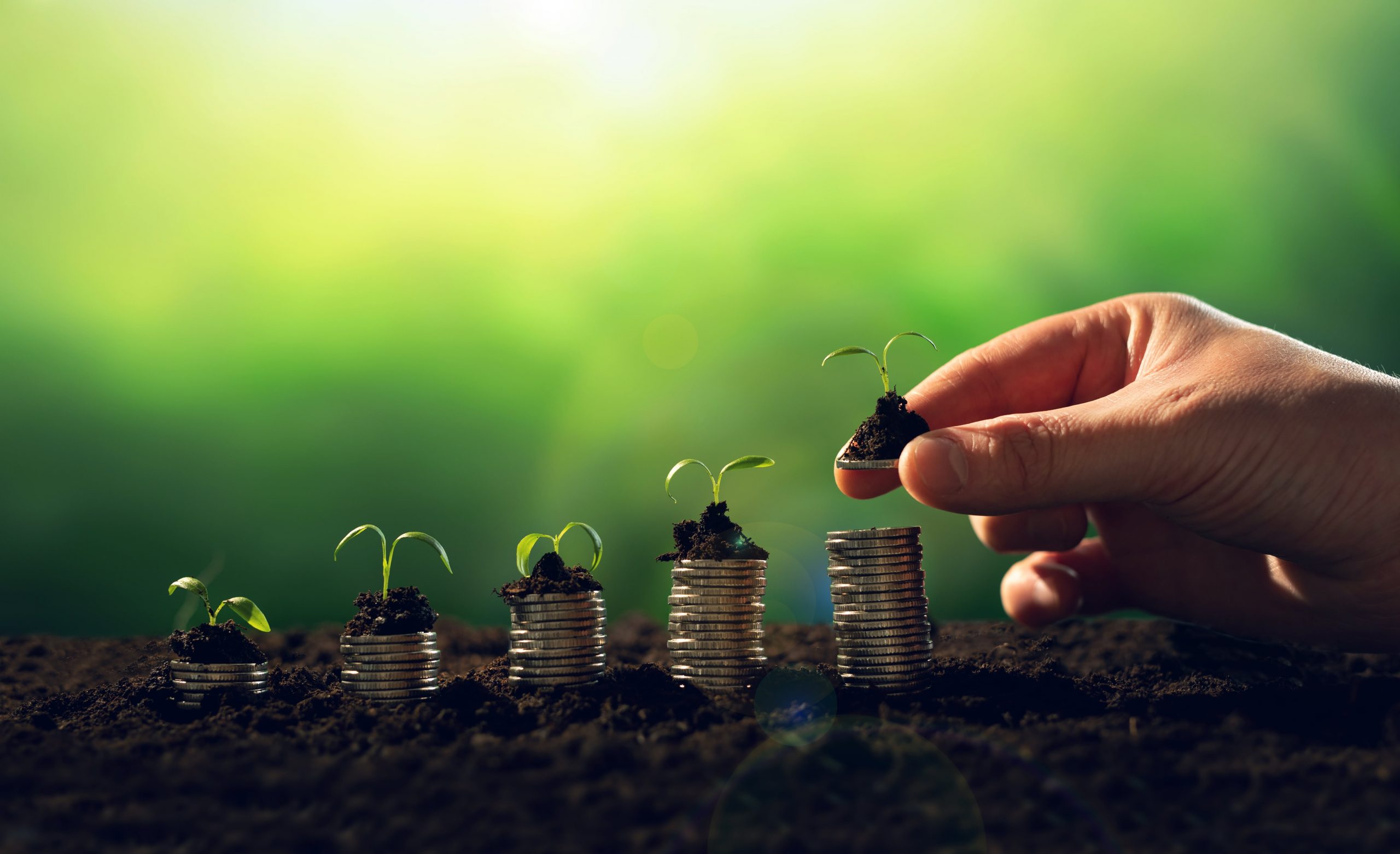 sustainable waste management companies
