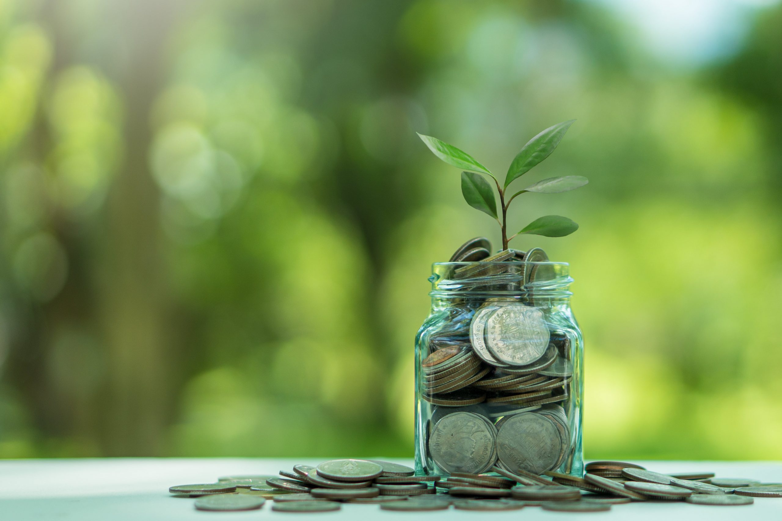 sustainability budgets